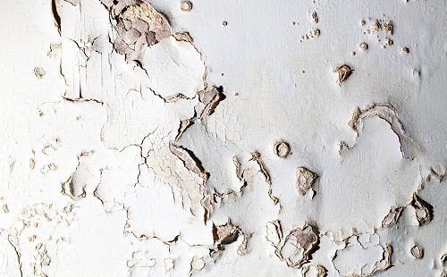 Affordable Termite Control - Riverside Image